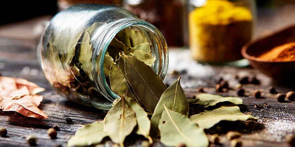 aromatique sèche