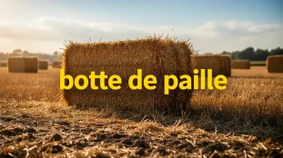 Bottes de paille rectangulaires sur champ apres recolte