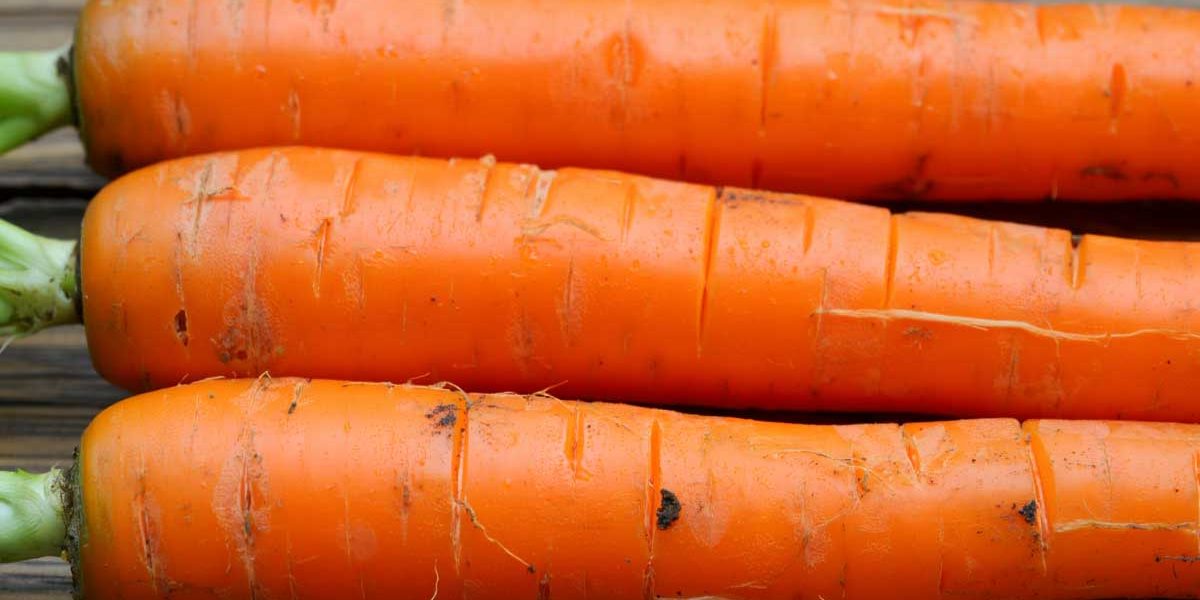 carottes