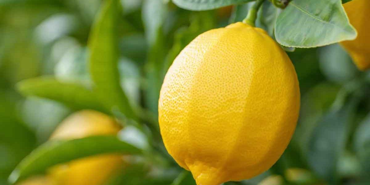 citron