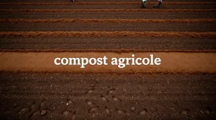 vue aérienne épandage compost agricole