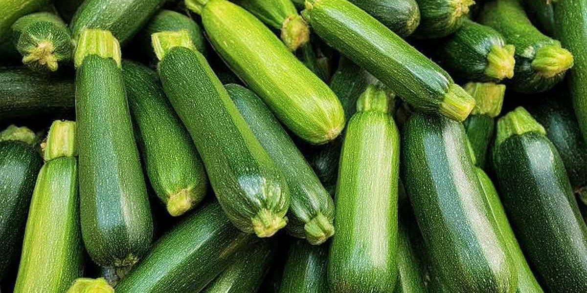 courgettes