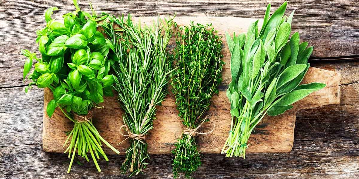 herbes aromatiques