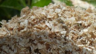 Comparaison de différents types de paillage biodégradable