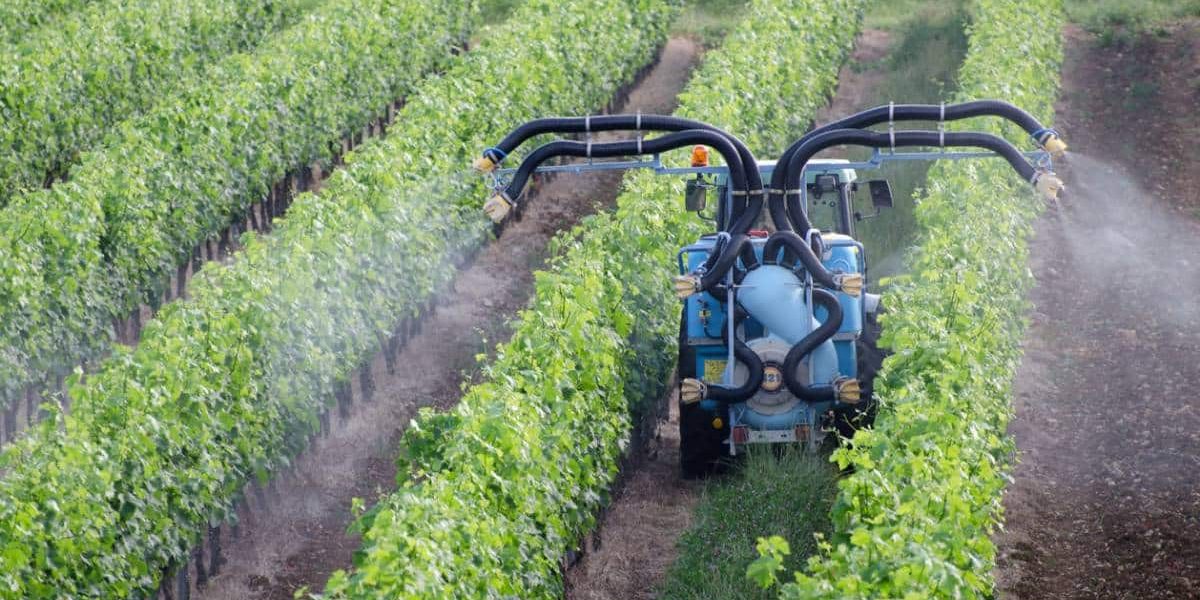 Image d'optimisation et traitement qualité en agriculture