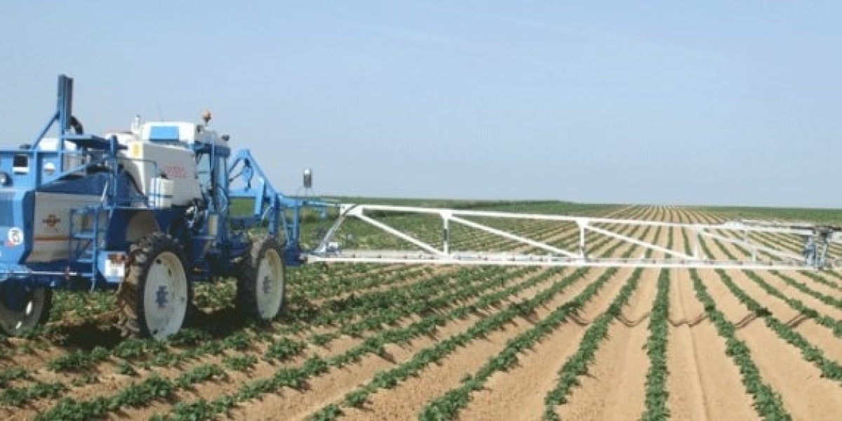 Fournitures agricoles et outils sur une table