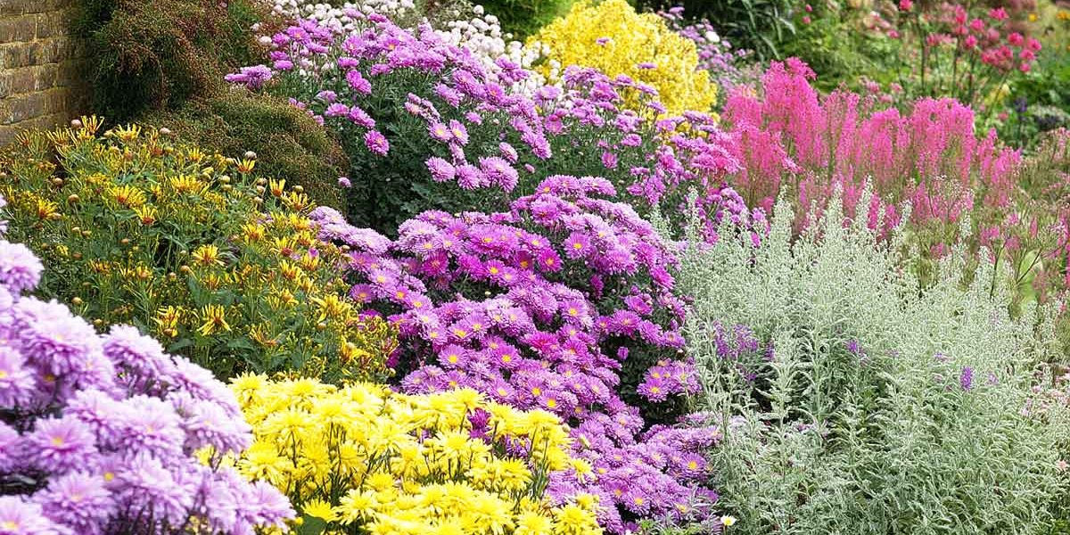 jardin anglais