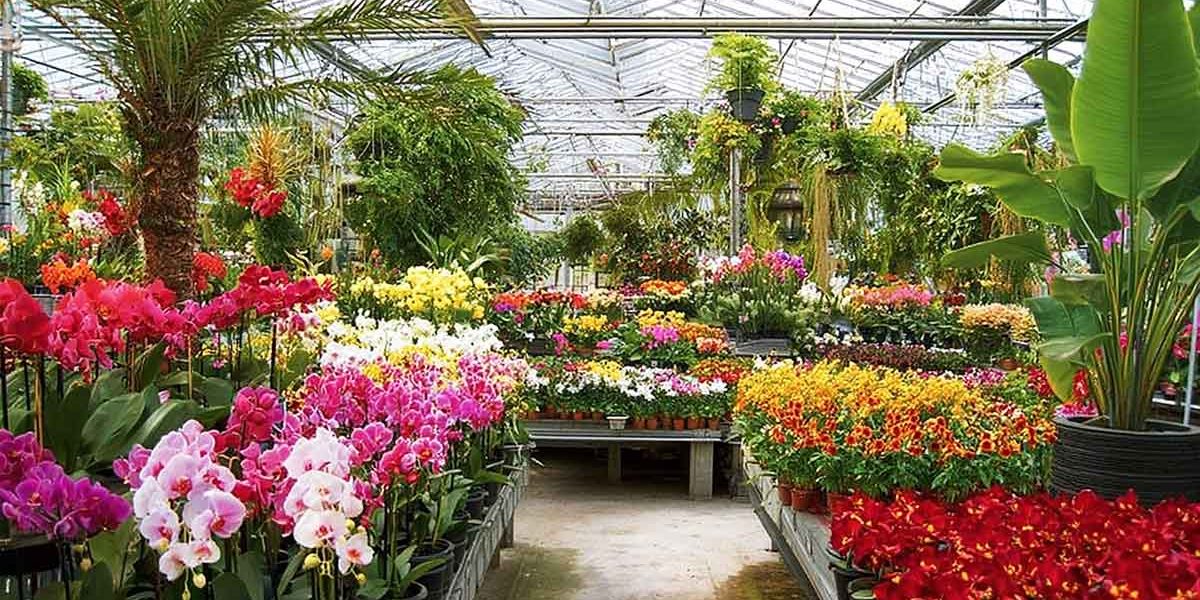 jardinerie