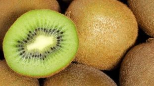 Kiwis mûrs frais sur un marché agricole