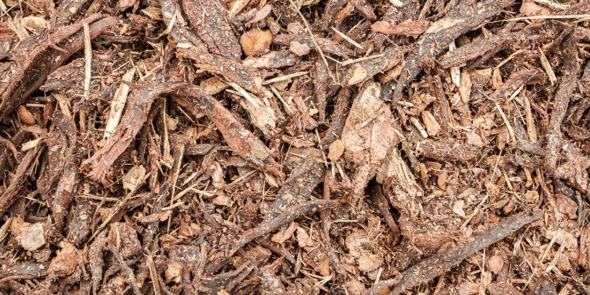 Technique de paillage avec du bois raméal fragmenté