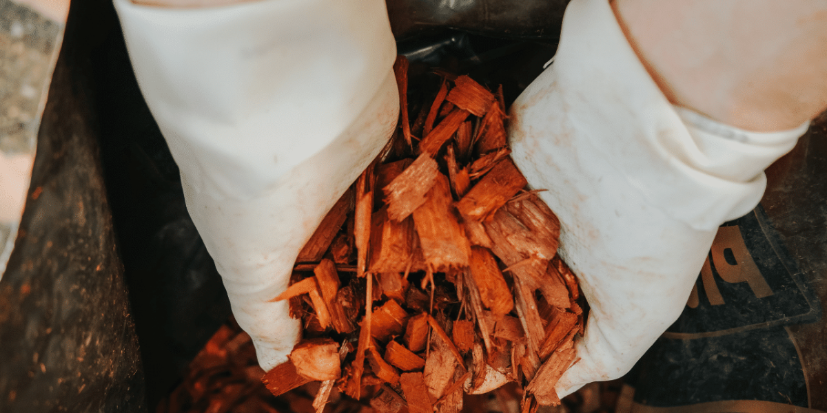 Bois utilisé pour un paillage efficace en agriculture