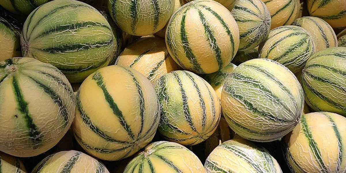 melons