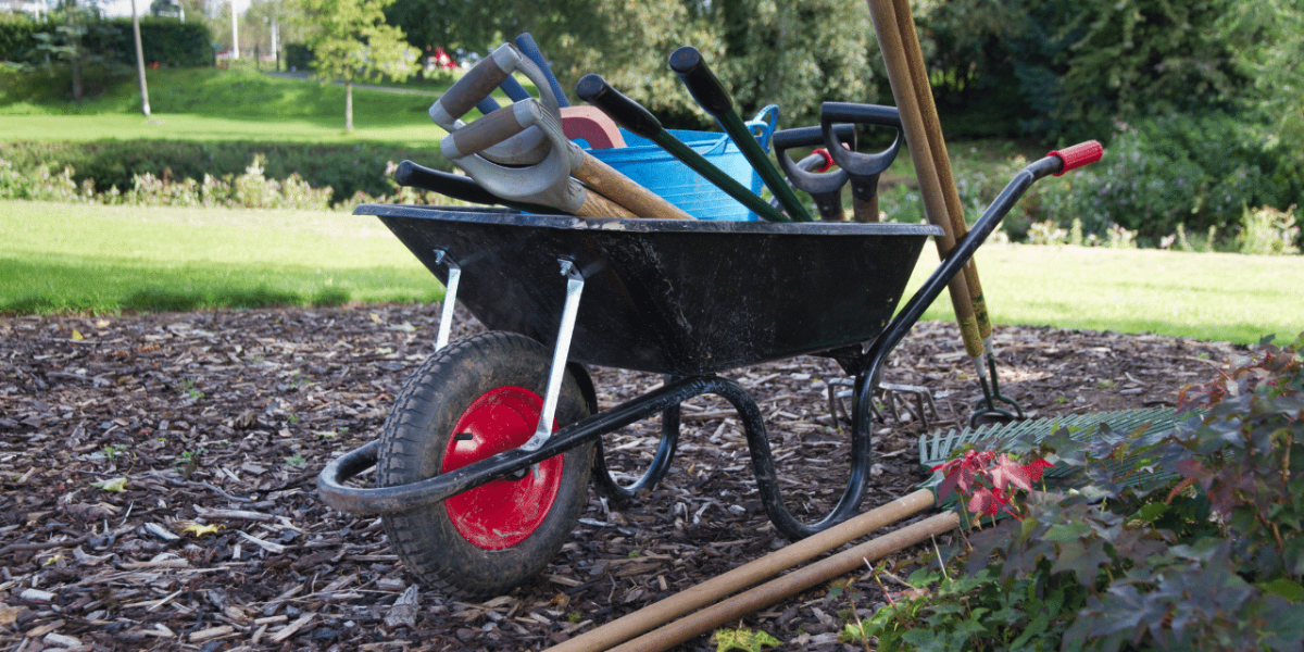 Divers outils de jardinage sur fond blanc