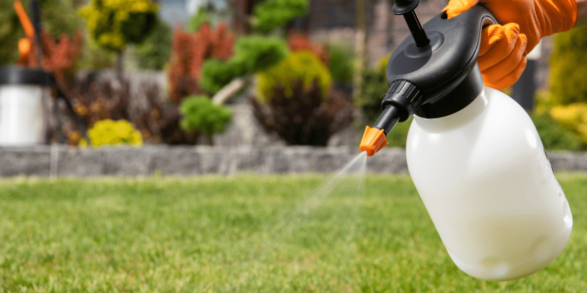 Image illustrative de pesticides pour l'agriculture