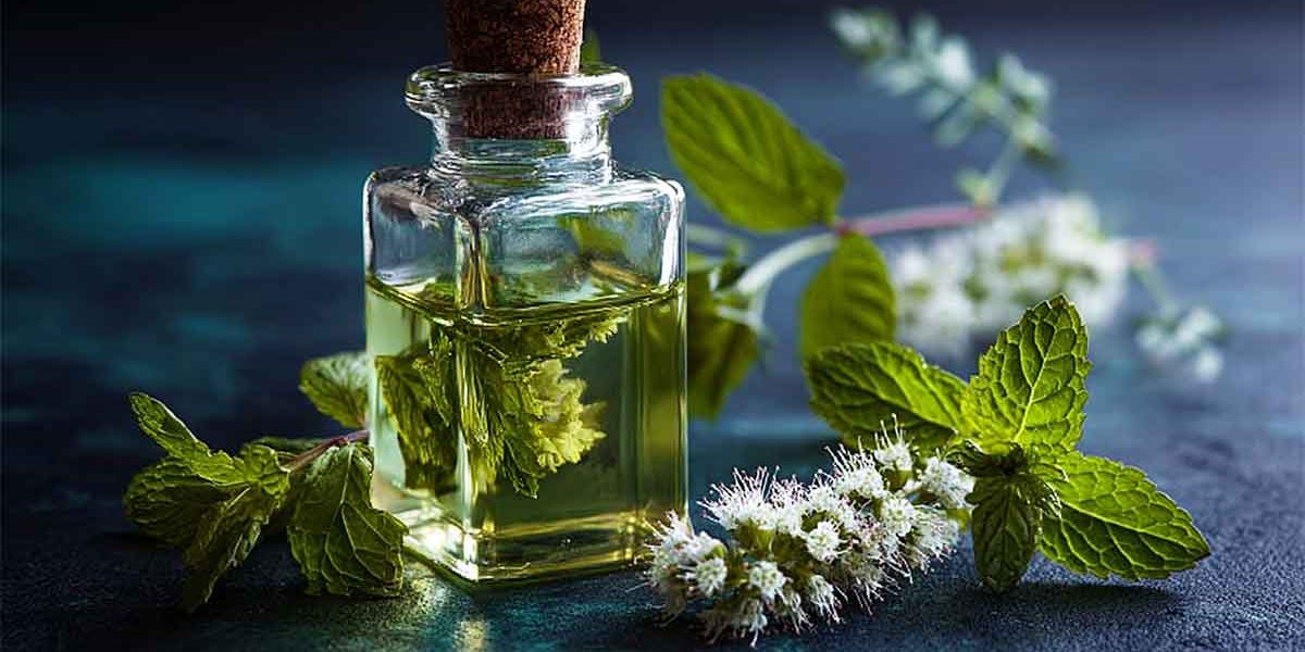 pyrale huile essentielle