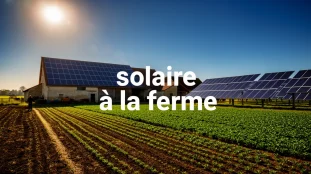 ferme agricole photorealiste solaire a la ferme panneaux solaires sur toits et au sol