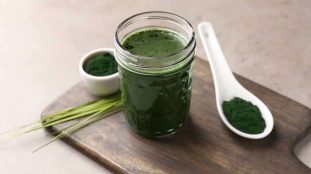 Culture de spiruline en extérieur