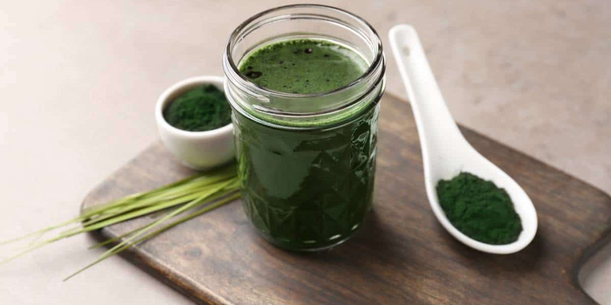 Culture de spiruline en extérieur