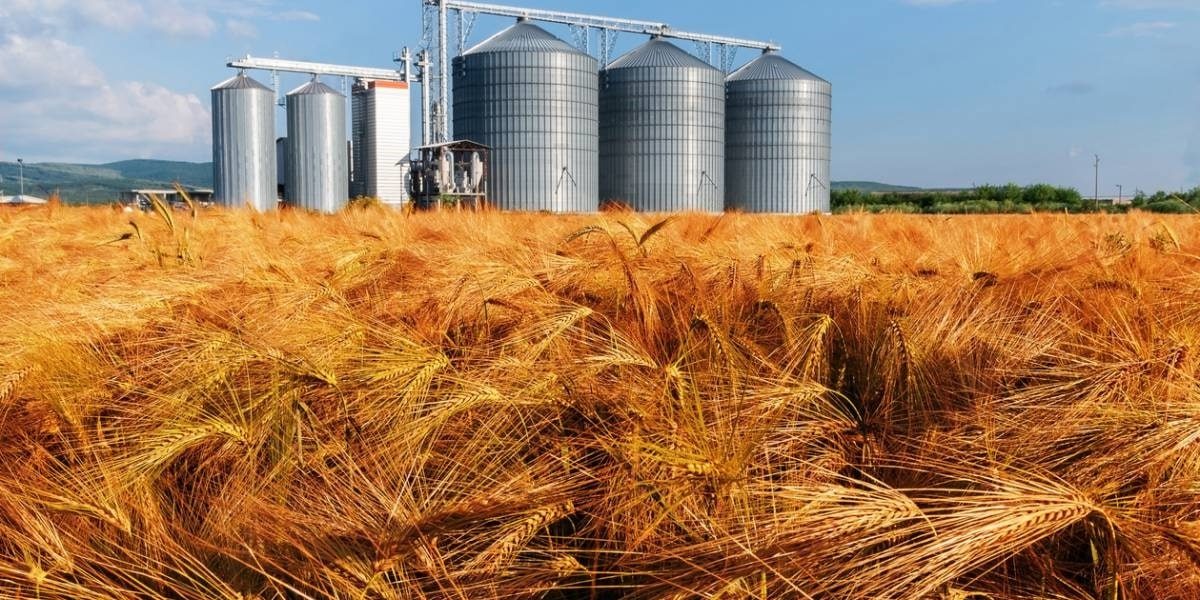 Champs agricoles avec stockage de produits en plein air