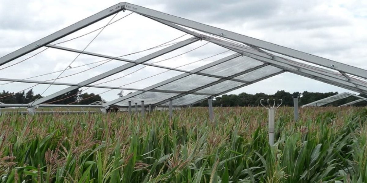 Tente de stockage pour produits agricoles